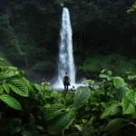 Serene and lush tropical scene, with a man standing in front of a majestic waterfall surrounded by dense greenery. The man is positioned centrally, facing away from the camera towards the waterfall, which cascades down a rocky cliffside into a misty veil.